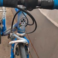 colnago dream