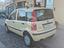 Immagine 7