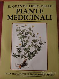 piante medicinali 