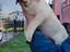 Immagine 3