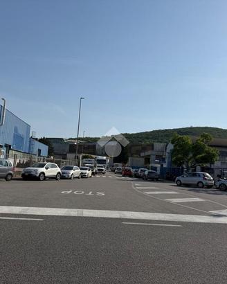 NEGOZIO A MUGGIA