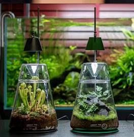 Wabikusa Dot Led Biorb