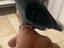 Immagine 2