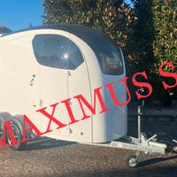 Trailer van per cavalli Maximus S