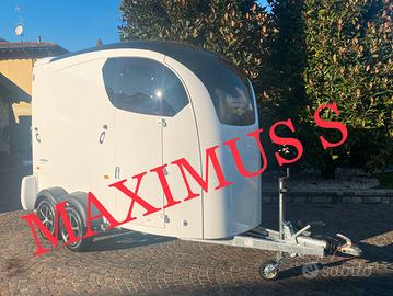 Trailer van per cavalli Maximus S