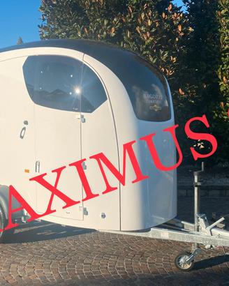 Trailer van per cavalli Maximus S