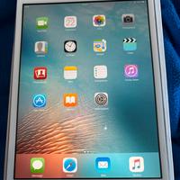 Ipad mini
