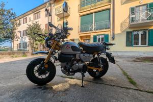 Honda Monkey 125 2025