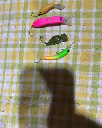 Crank trout area
