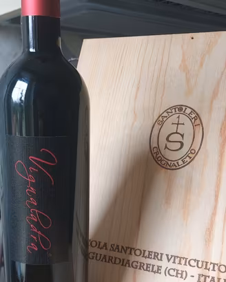 Montepulciano d'Abruzzo VIGNALADRA DOC 2015