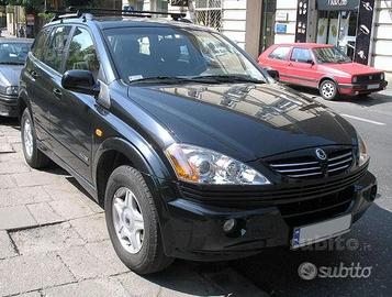 Parabrezza SsangYong Kyron