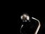 Immagine 16