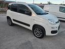 fiat-panda-1-3-mjt-4x4-pop-van-2-posti