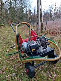 pompa irroratrice elettrica 220v carrellata 