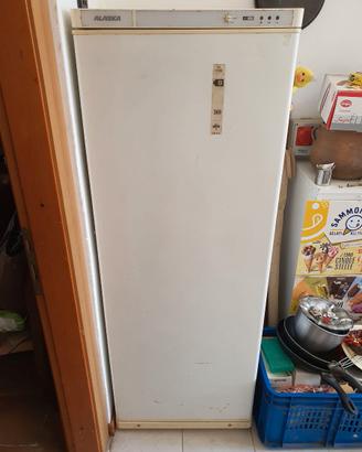 Freezer verticale