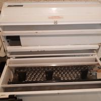 pigiatrice deraspatrice con pompa x vinificazione