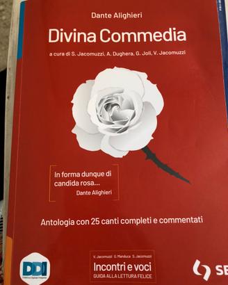 Libro la divina commedia