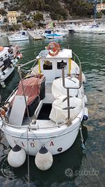 Barca VTR 8 MT con Licenza di pesca