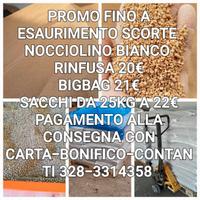 NOCCIOLINO DI OLIVA  A