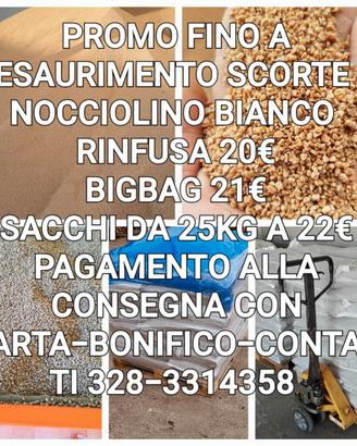NOCCIOLINO DI OLIVA  A