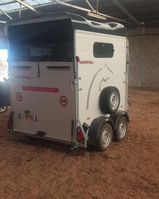 Trailer cavalli