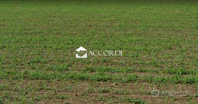 Rif.MDP119_8| area edificabile conegliano