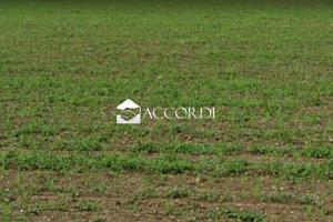 Rif.MDP119_8| area edificabile conegliano