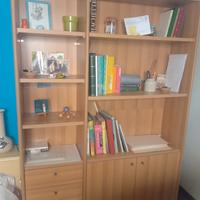 Librería color faggio