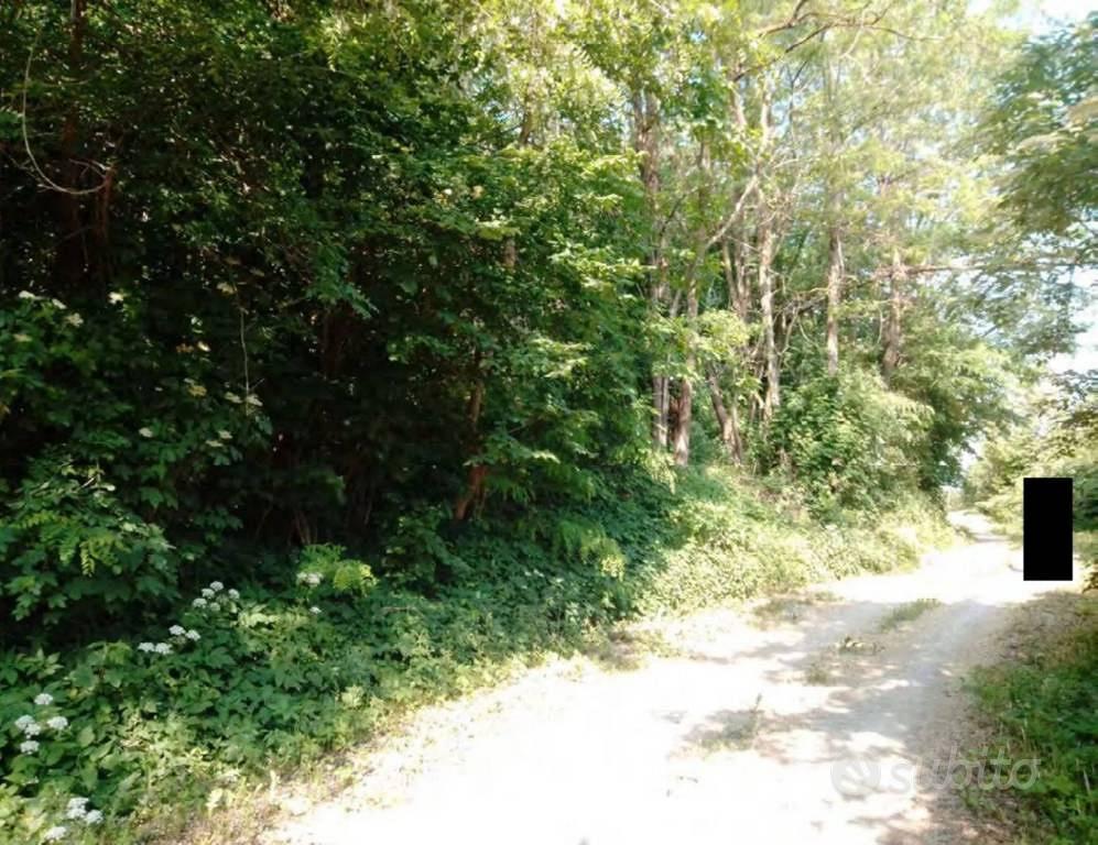 Immobile in asta di 91609 m² a Pianello Val Tidone - Vista 3