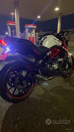 Benelli 302s 2019