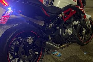 Benelli 302s 2019
