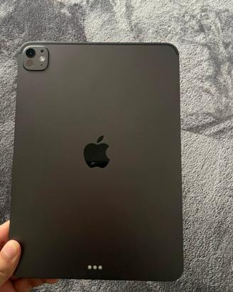 iPad Pro M5 13 pollici 256GB WIFI Cellulare
