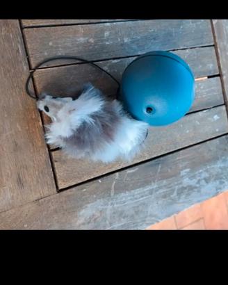 Gioco per gatto