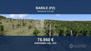 Immobile in asta di 42845 m² a Barile