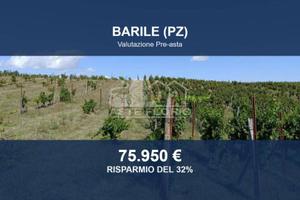 Immobile in asta di 42845 m² a Barile