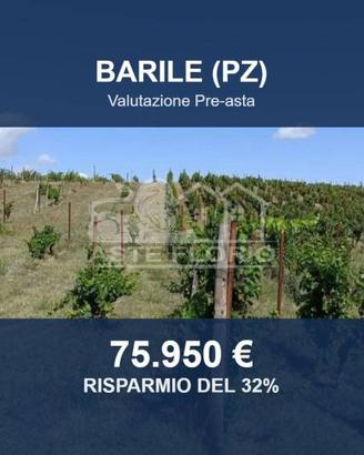 Immobile in asta di 42845 m² a Barile