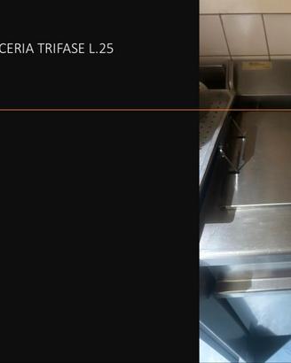 Friggitrice professionale