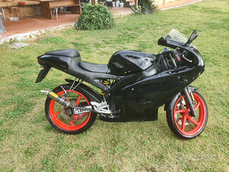 Aprilia RS 50 usata in vendita in Toscana