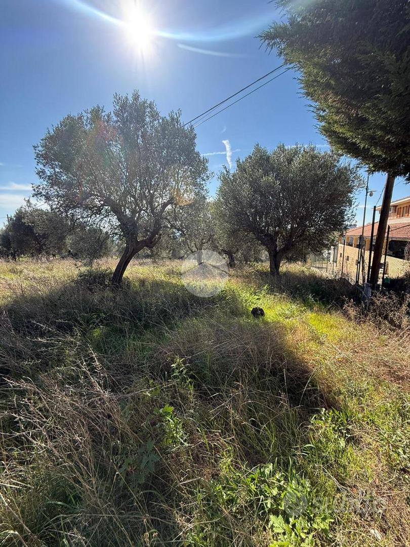 TER. RESIDENZIALE A GIULIANOVA - Vista 5