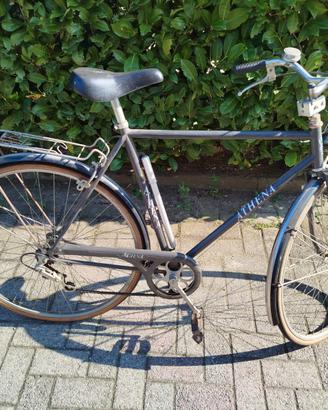 Bicicletta Athena