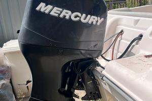 Mercury 100cv 2011 241 ore