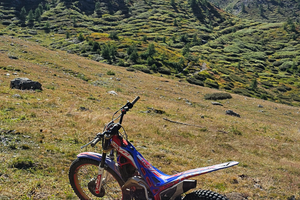 Beta evo factory 300 2022