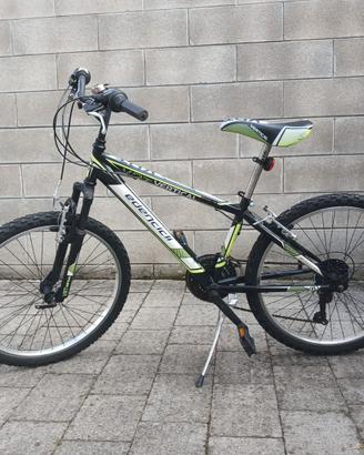 bici mountain bike ragazzo