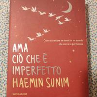 Ama ciò che è imperfetto Libro