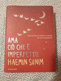 Ama ciò che è imperfetto Libro