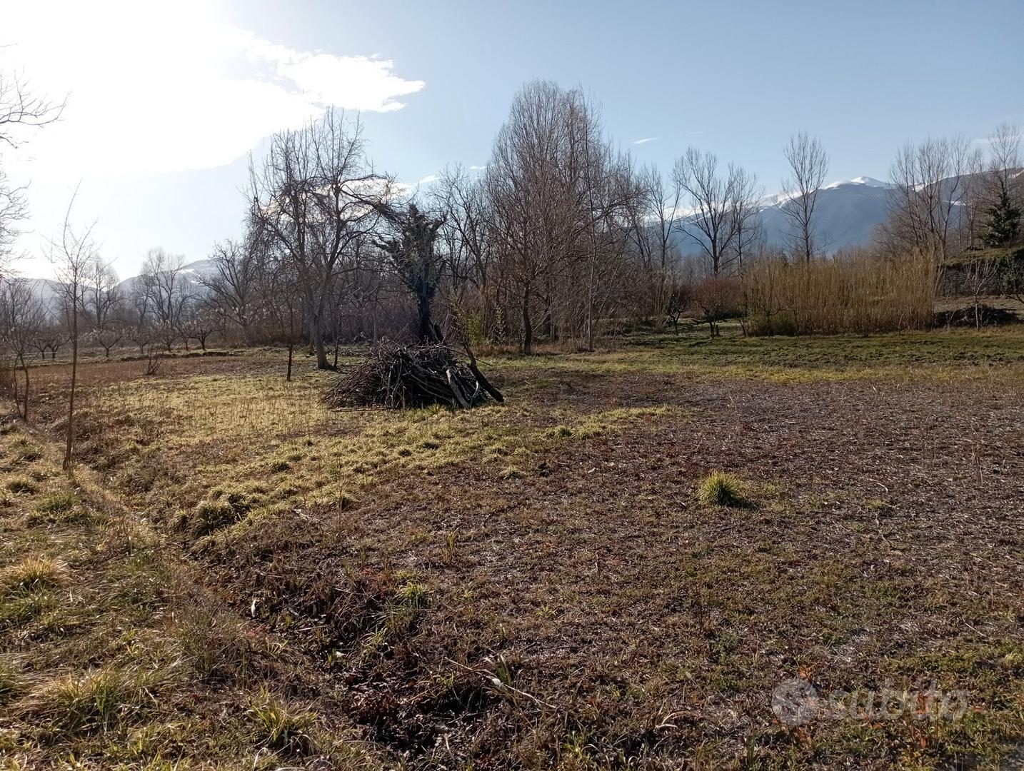 Terreni e tartufaia a Sulmona - Vista 4