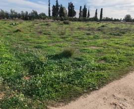 Terreno agricolo in Decimomannu