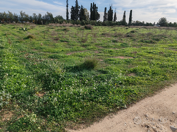 Terreno agricolo in Decimomannu