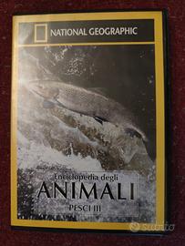 DVD National Geographic 