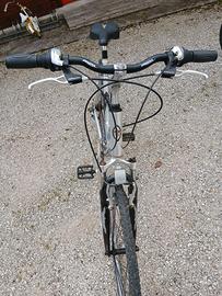 Bici da donna